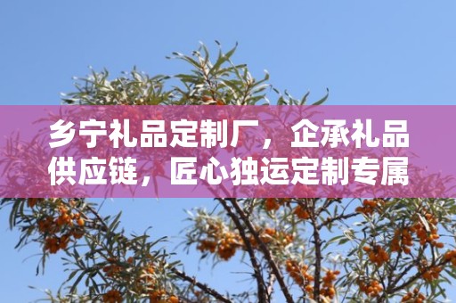 乡宁礼品定制厂，企承礼品供应链，匠心独运定制专属礼品