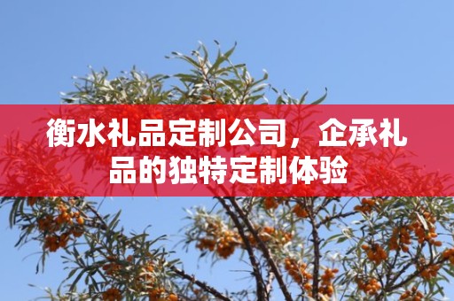 衡水礼品定制公司，企承礼品的独特定制体验